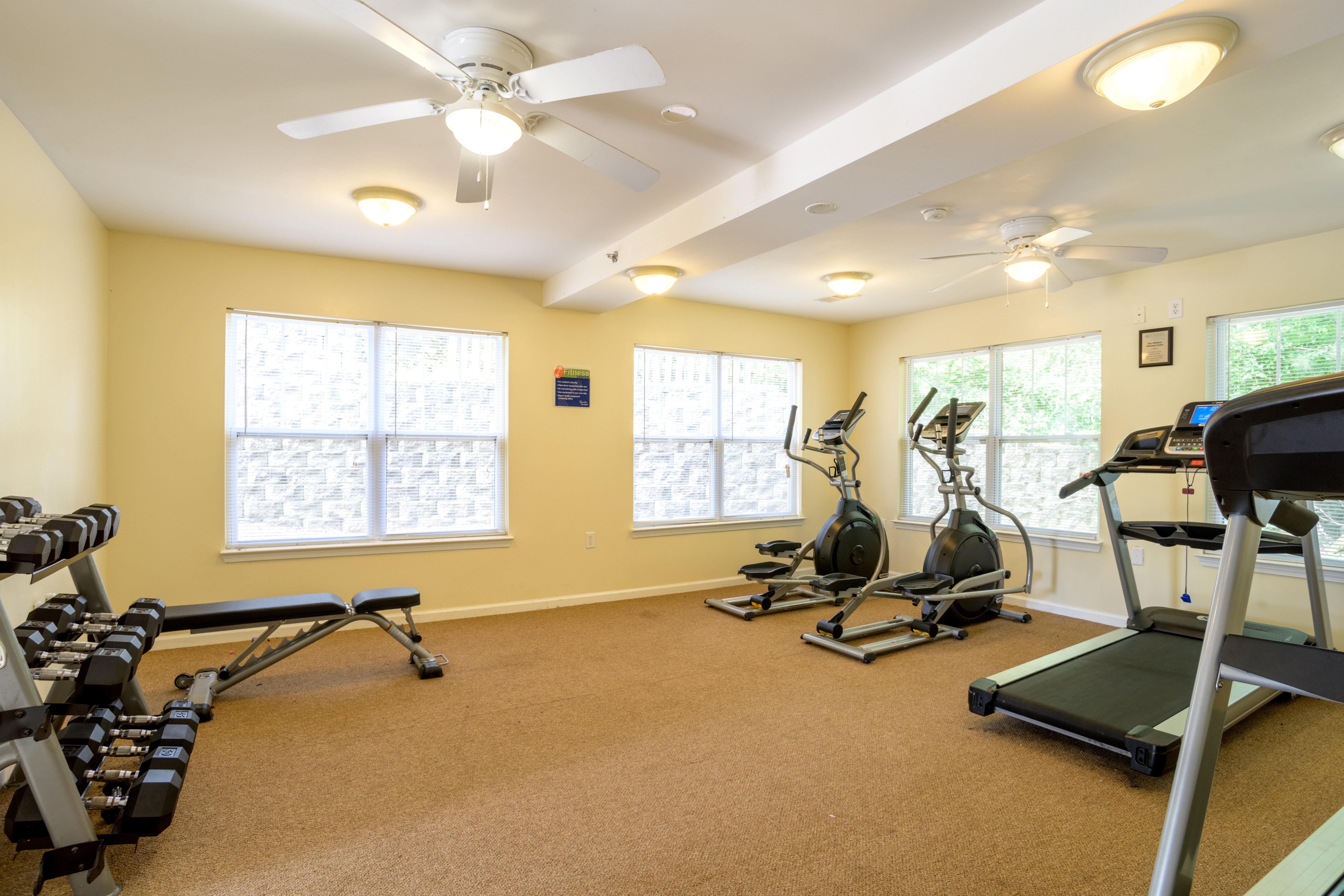 A spacious home gym with a variety of exercise equipment.,A spacious home gym with a variety of exercise equipment.